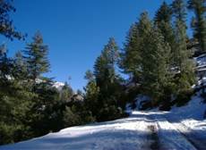 Description: http://farm4.staticflickr.com/3223/2430863854_64fc4334a9_b.jpg