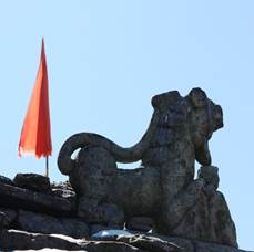 Description: IMG_4917